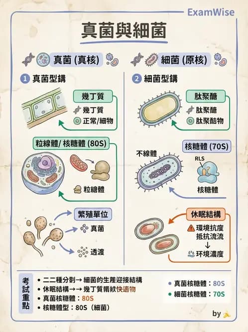醫檢師 - 實驗室安全與微生物特性 - AI 圖文解析預覽