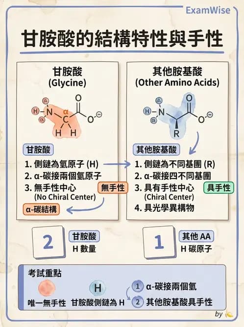 醫檢師 - 胺基酸代謝與先天性疾病 - AI 圖文解析預覽
