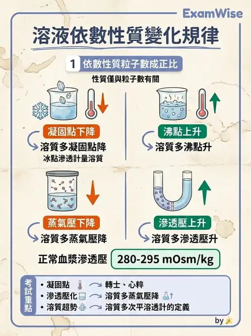 醫檢師 - 基本概念與儀器分析 - AI 圖文解析預覽