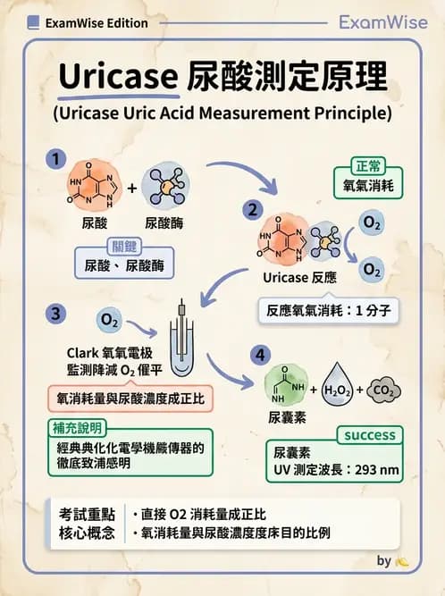 醫檢師 - 臨床酵素學基礎 - AI 圖文解析預覽