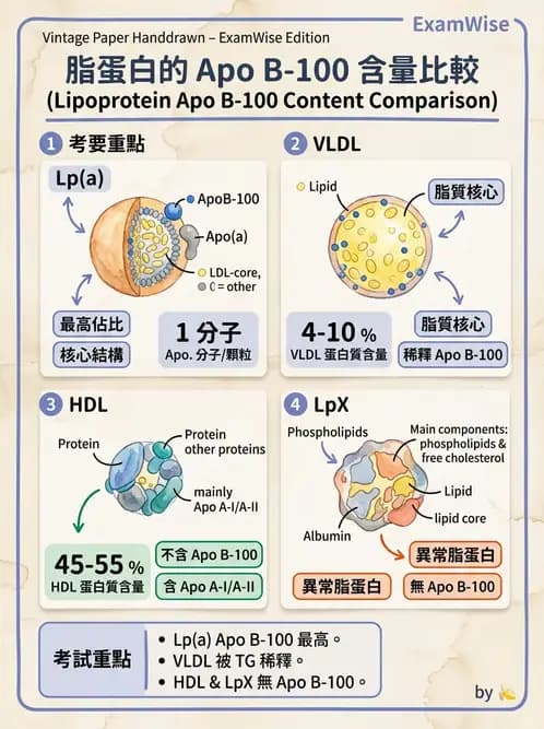 醫檢師 - 脂蛋白分類與臨床應用 - AI 圖文解析預覽