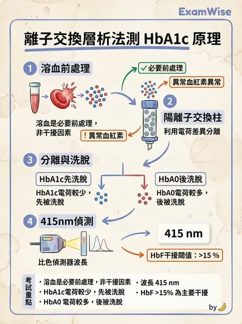 醫檢師 - 醣類代謝與糖尿病 - AI 圖文解析預覽