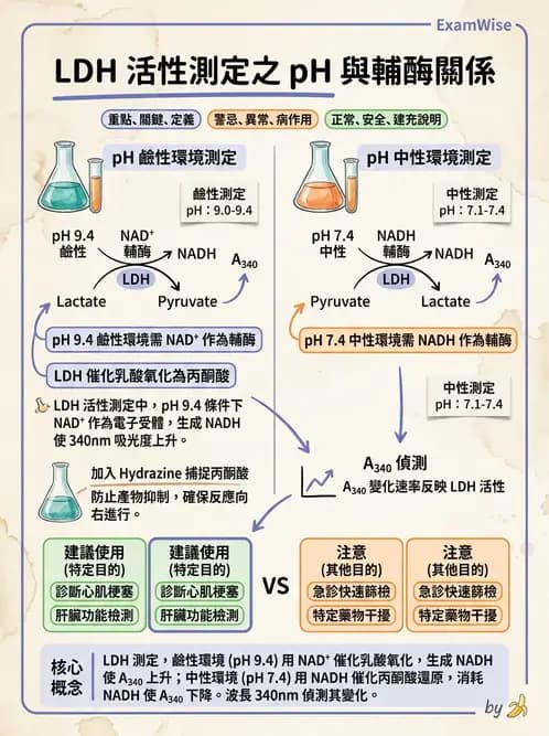 醫檢師 - 臨床酵素學基礎 - AI 圖文解析預覽