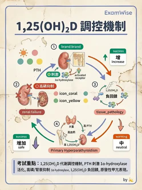 醫檢師 - 維生素 - AI 圖文解析預覽