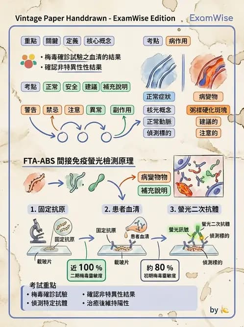 醫檢師 - 實驗室測試免疫法 - AI 圖文解析預覽