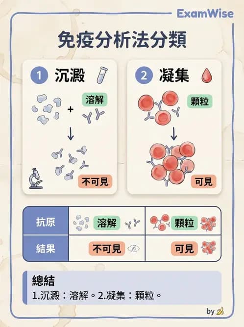 醫檢師 - 實驗室測試免疫法 - AI 圖文解析預覽