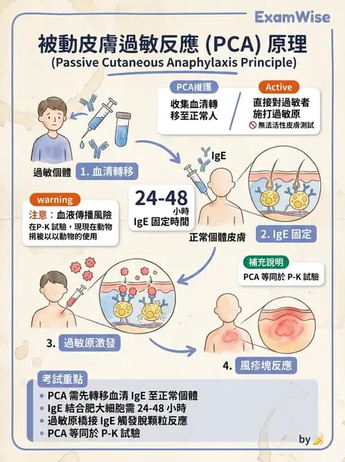醫檢師 - 過敏反應及測試法 - AI 圖文解析預覽