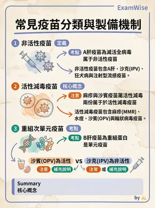 醫檢師 - 抗病毒藥物與疫苗通論 - AI 圖文解析預覽