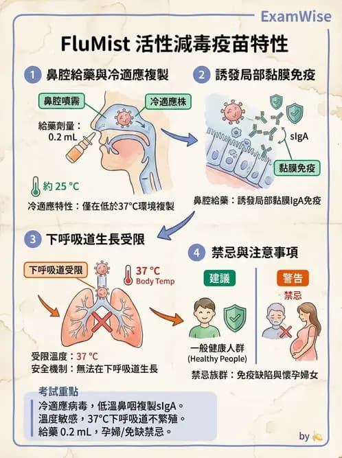 醫檢師 - 正黏液病毒科(流感) - AI 圖文解析預覽