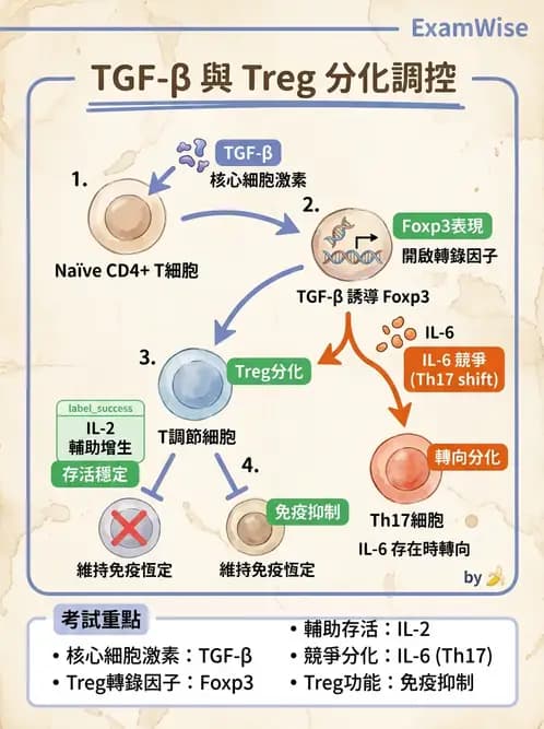 醫檢師 - 細胞激素與抗原呈獻 - AI 圖文解析預覽