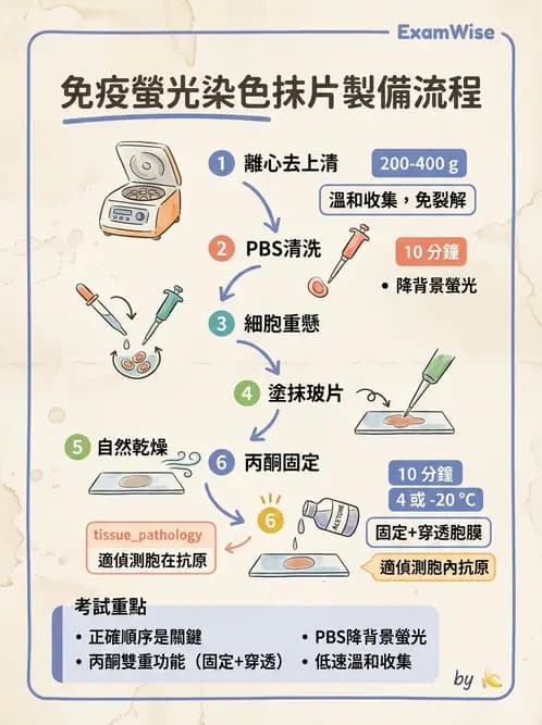 醫檢師 - 病毒檢驗技術 - AI 圖文解析預覽