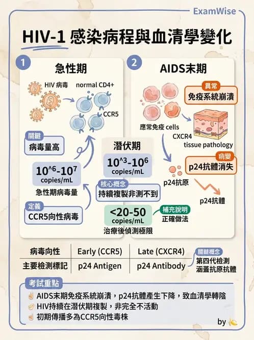 醫檢師 - 反轉錄病毒(HIV/HTLV) - AI 圖文解析預覽