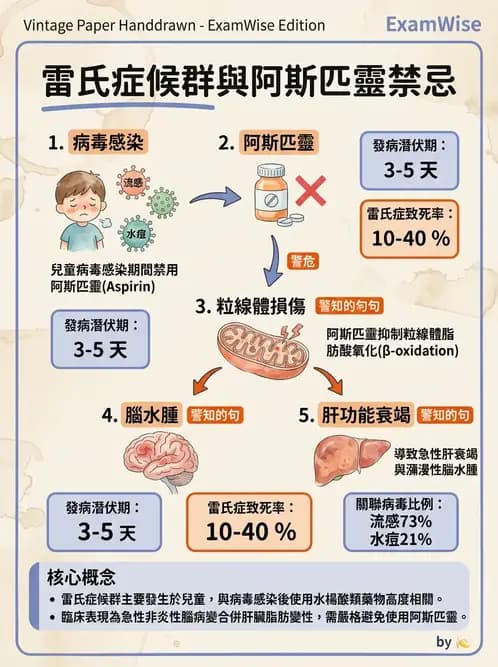 醫檢師 - 正黏液病毒科(流感) - AI 圖文解析預覽