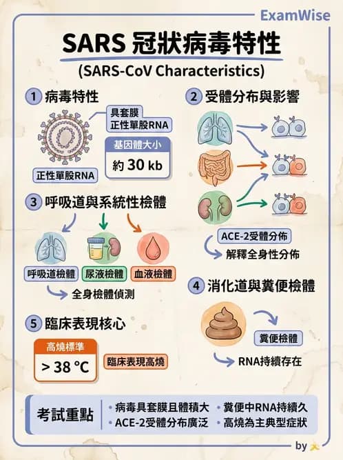 醫檢師 - 冠狀病毒科 - AI 圖文解析預覽