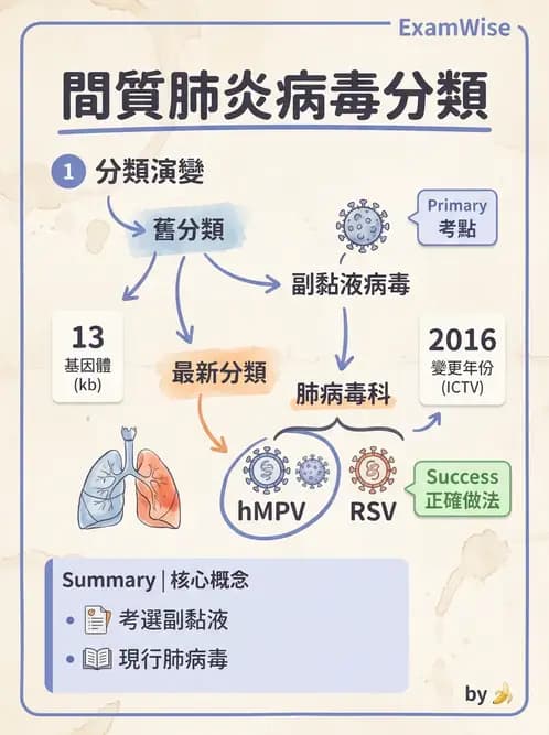 醫檢師 - 副黏液病毒科 - AI 圖文解析預覽