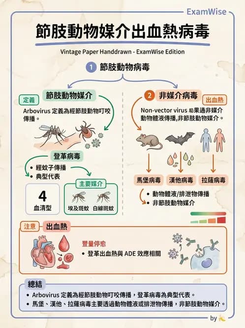 醫檢師 - 黃病毒科與蟲媒病毒 - AI 圖文解析預覽
