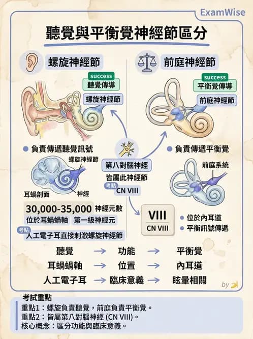 放射 - 特殊感官 - AI 圖文解析預覽