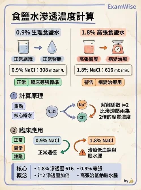 放射 - 細胞生理 - AI 圖文解析預覽