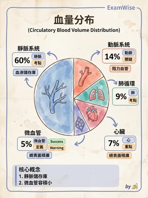 放射 - 心血管生理 - AI 圖文解析預覽
