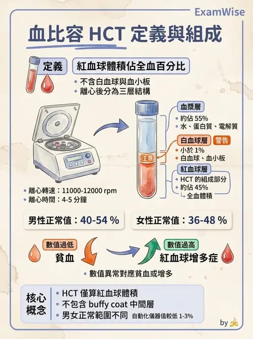 放射 - 血液及免疫生理 - AI 圖文解析預覽