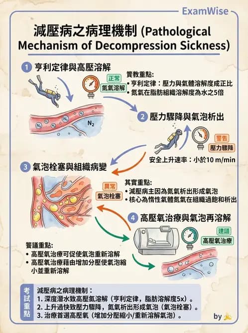 放射 - 心臟及血管疾病 - AI 圖文解析預覽