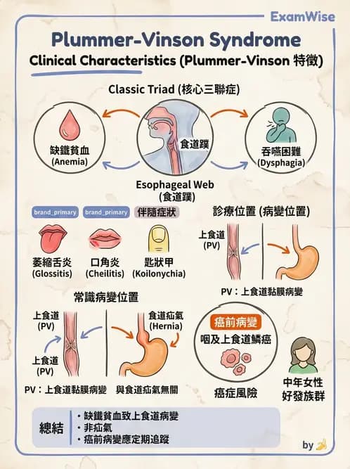放射 - 口腔及腸胃道疾病 - AI 圖文解析預覽