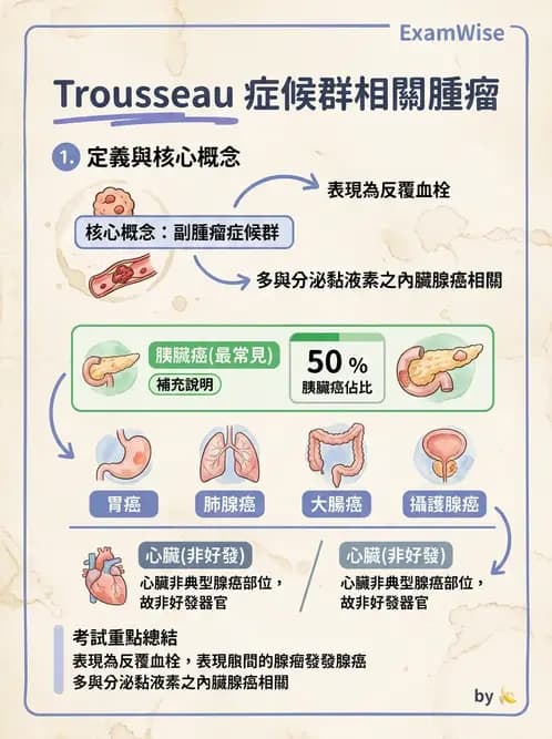 放射 - 心臟及血管疾病 - AI 圖文解析預覽