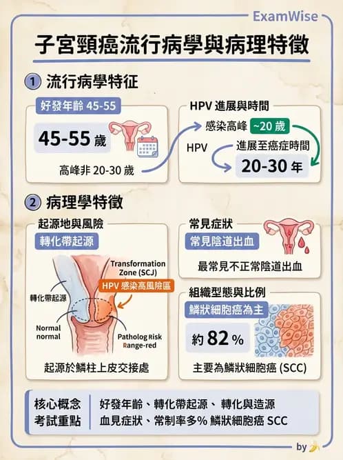 放射 - 生殖系統及乳房疾病 - AI 圖文解析預覽