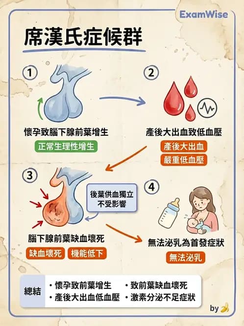 放射 - 內分泌系統疾病 - AI 圖文解析預覽