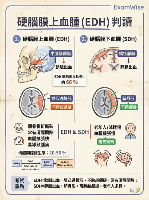 放射 - 神經系統疾病 - AI 圖文解析預覽