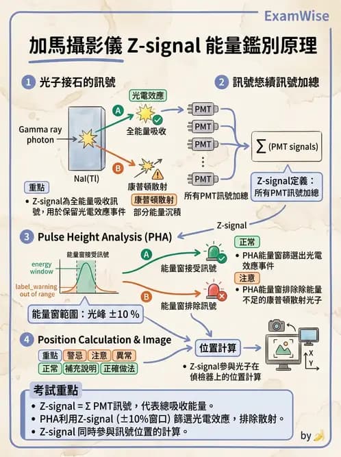 放射 - 核子醫學物理 - AI 圖文解析預覽