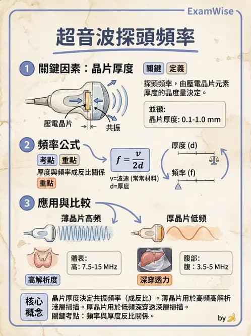 放射 - 超音波物理與換能器 - AI 圖文解析預覽