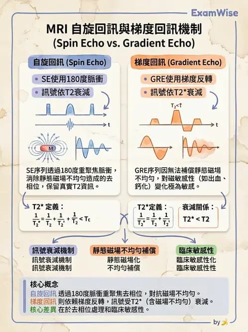 放射 - 脈衝序列與影像對比 - AI 圖文解析預覽