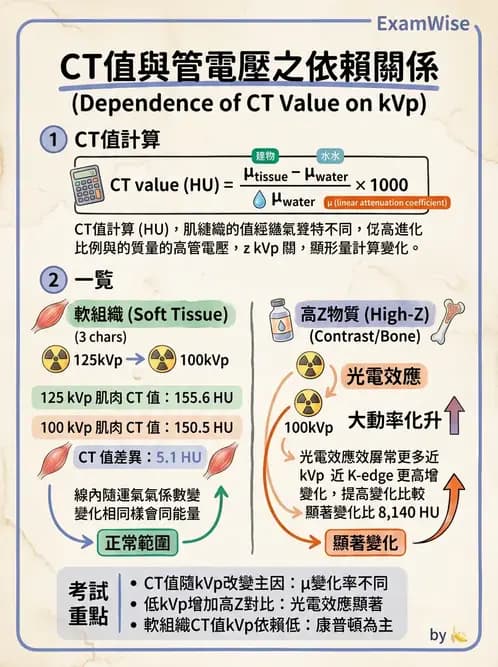 放射 - 透視與數位影像 - AI 圖文解析預覽