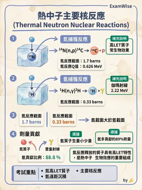放射 - 帶電粒子與中子和物質作用 - AI 圖文解析預覽