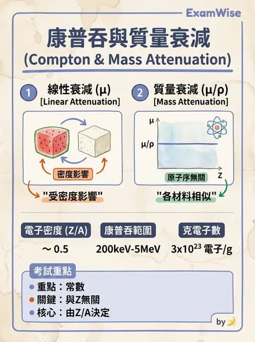 放射 - 光子衰減與係數計算 - AI 圖文解析預覽