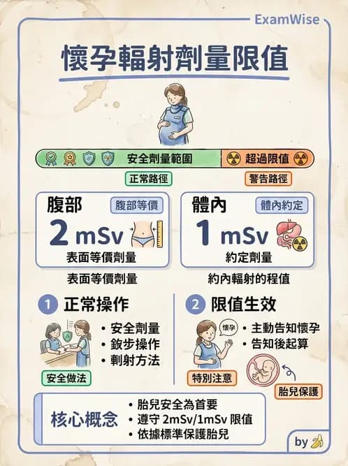 放射 - 劑量標準與防護原則 - AI 圖文解析預覽