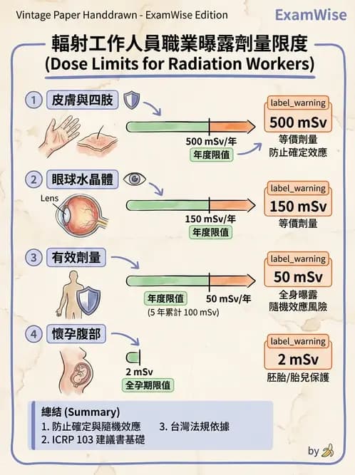 放射 - 劑量標準與防護原則 - AI 圖文解析預覽