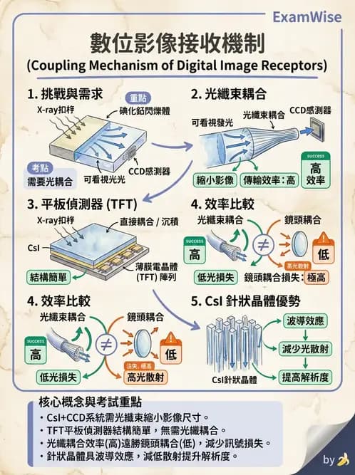 放射 - 數位放射攝影(DR)偵測器與影像品質 - AI 圖文解析預覽