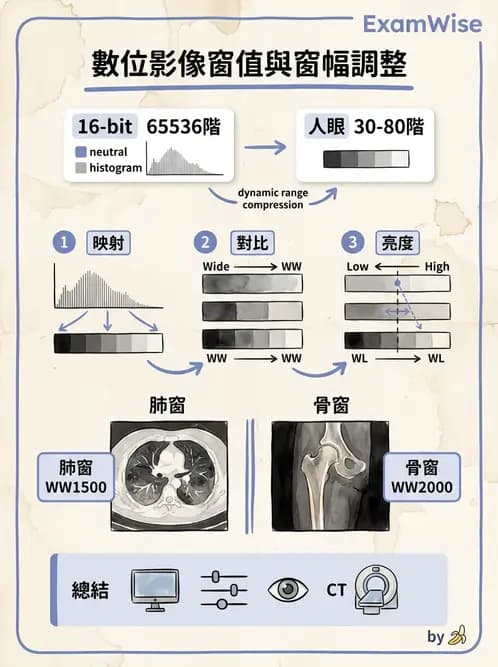 放射 - X光成像系統與影像品質 - AI 圖文解析預覽