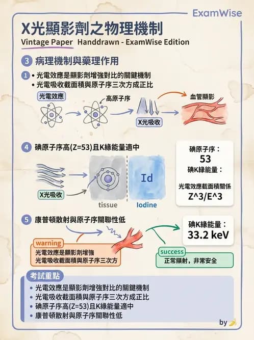 放射 - 血管攝影與透視攝影裝置 - AI 圖文解析預覽