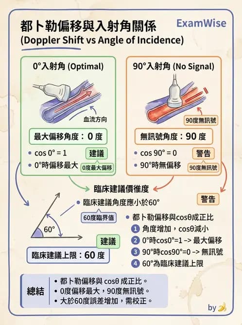 放射 - 都普勒超音波 - AI 圖文解析預覽