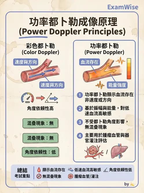 放射 - 都普勒超音波 - AI 圖文解析預覽