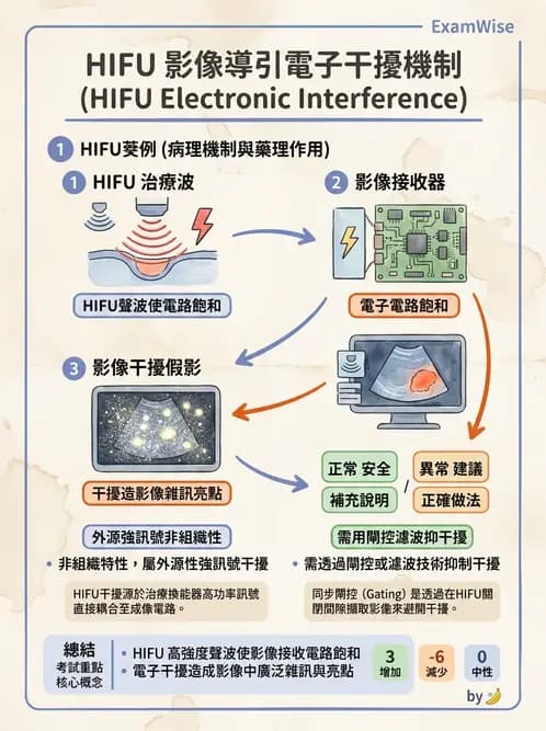 放射 - 超音波進階成像與假影 - AI 圖文解析預覽