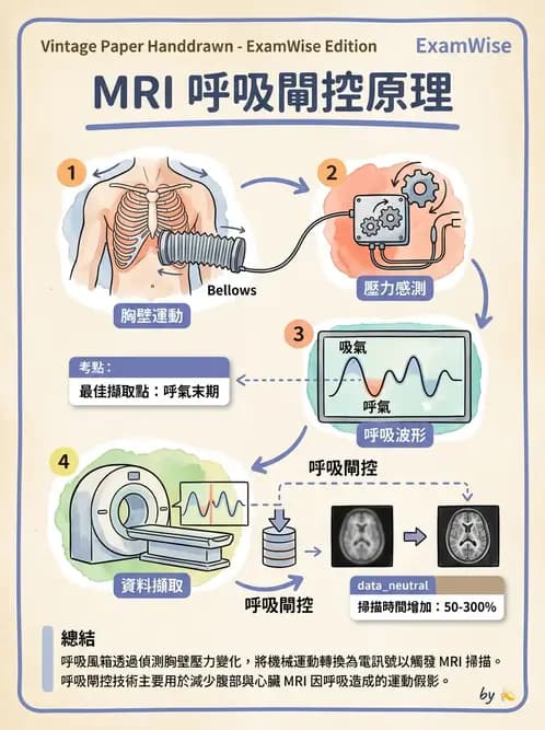 放射 - 品質管制與安全規範 - AI 圖文解析預覽