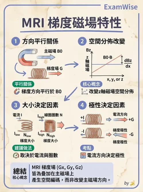 放射 - 梯度線圈與空間編碼 - AI 圖文解析預覽