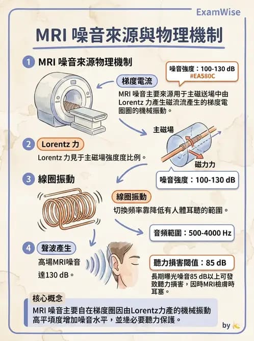 放射 - 梯度線圈與空間編碼 - AI 圖文解析預覽