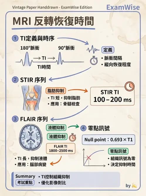 放射 - 射頻系統與線圈 - AI 圖文解析預覽