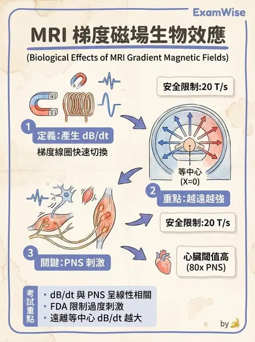 放射 - 品質管制與安全規範 - AI 圖文解析預覽