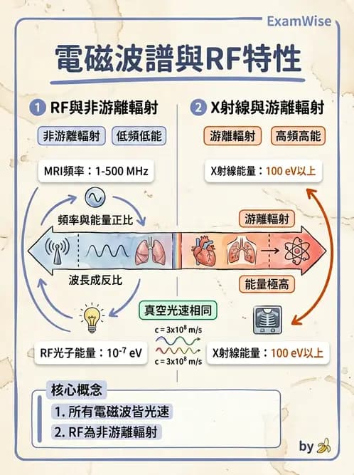 放射 - 射頻系統與線圈 - AI 圖文解析預覽